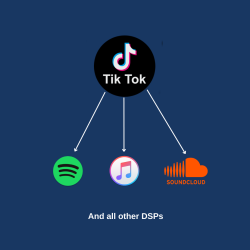 TikTok DSPs